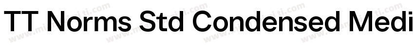 TT Norms Std Condensed Medium字体转换